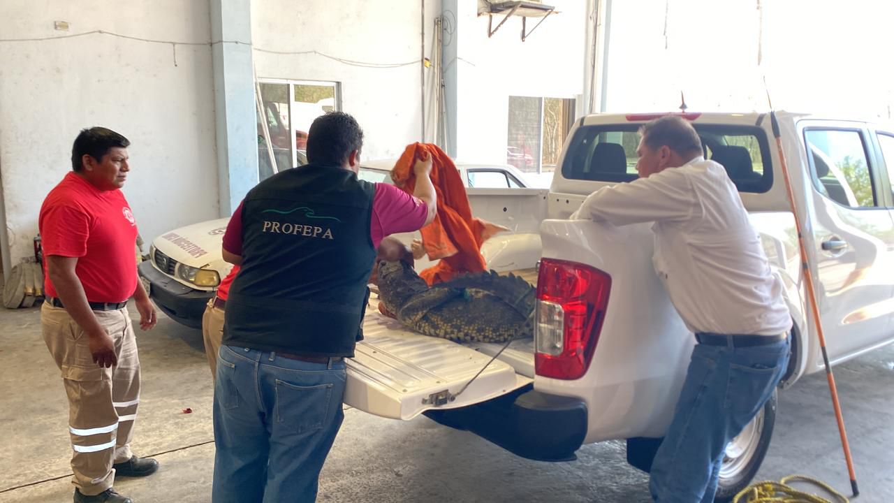 WhatsApp Image 2025-05-26 at 7.17.47 PM