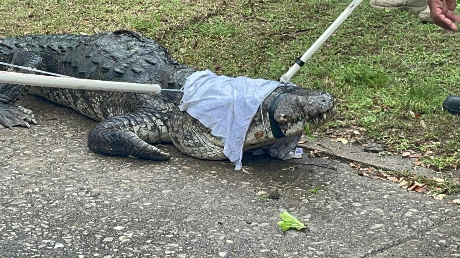 WhatsApp Image 2025-05-28 at 1.37.49 PM