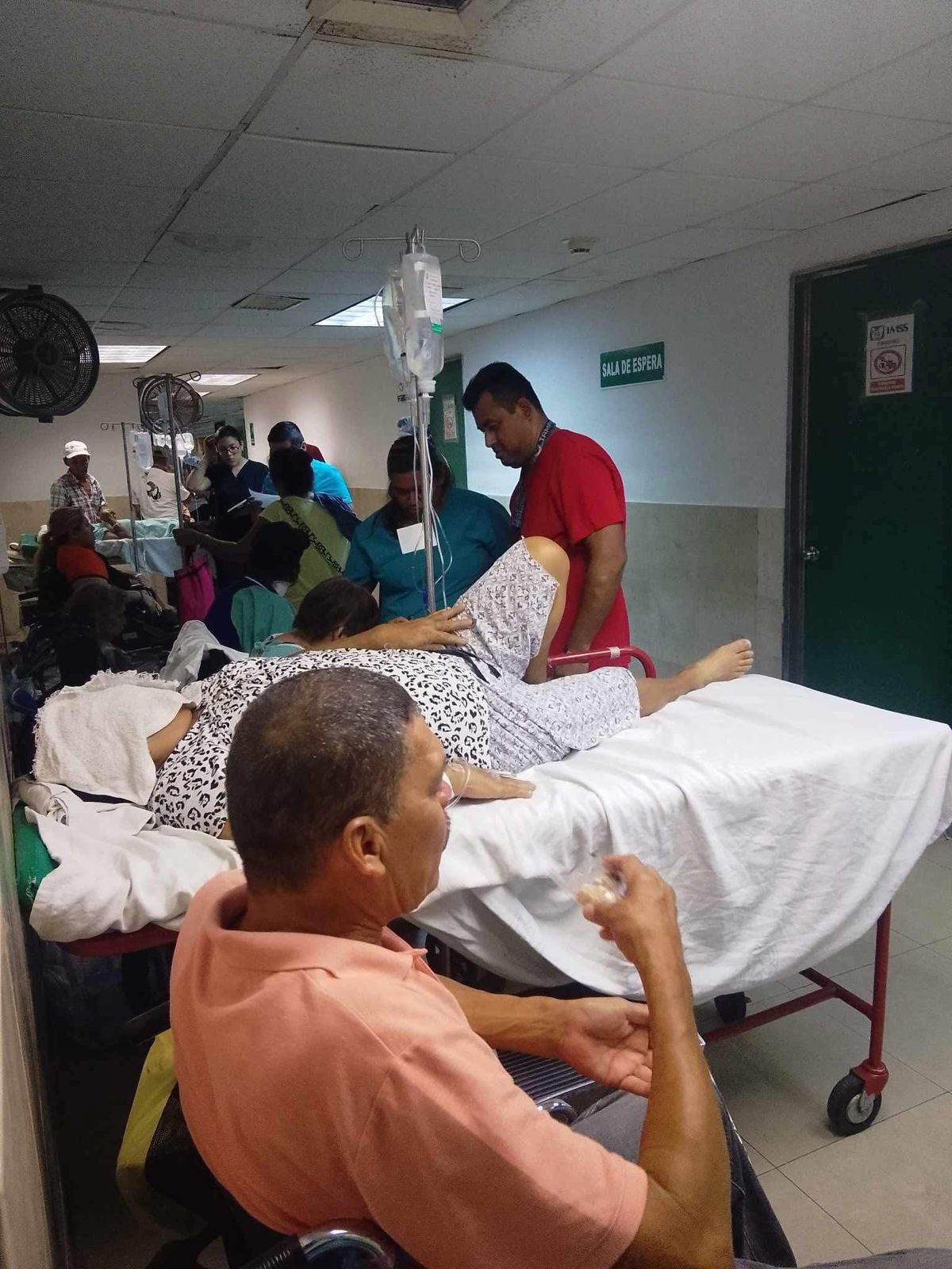 WhatsApp Image 2025-05-28 at 12.33.17 PM (1)