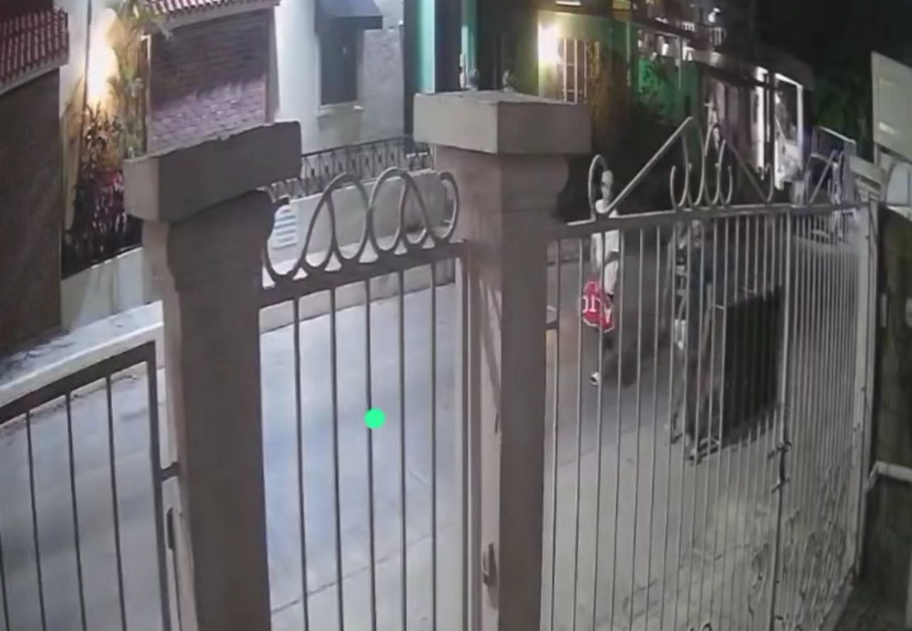 WhatsApp Image 2025-06-03 at 2.06.48 PM (1)