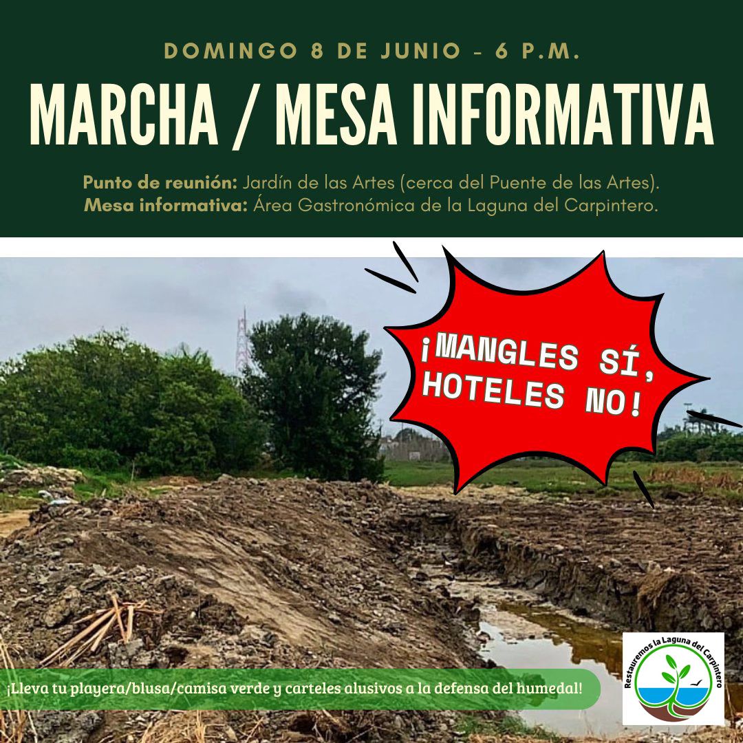 WhatsApp Image 2025-06-04 at 2.33.46 PM