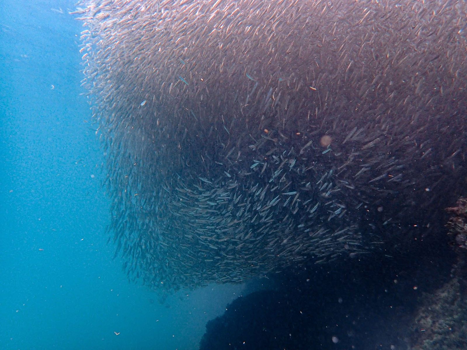 WhatsApp Image 2025-06-05 at 4.29.39 PM