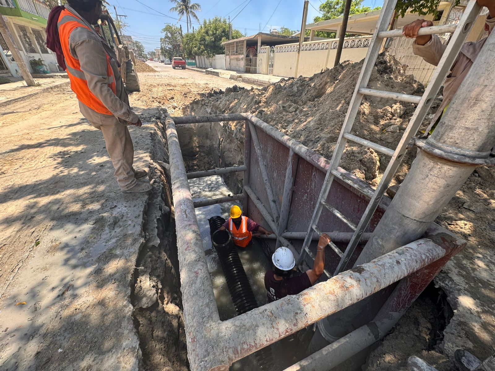 WhatsApp Image 2025-06-07 at 2.56.42 PM (1)