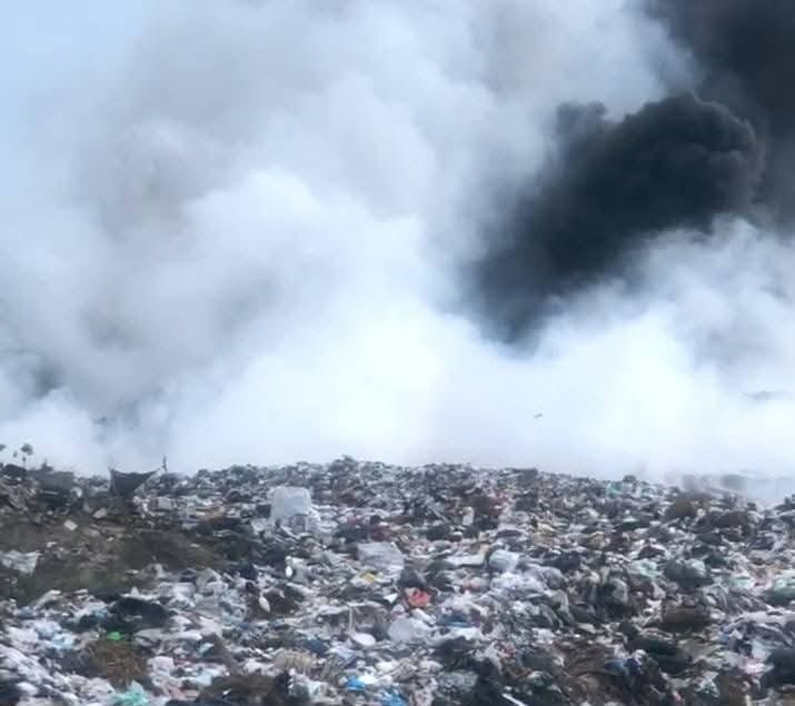 WhatsApp Image 2025-06-11 at 8.33.05 PM