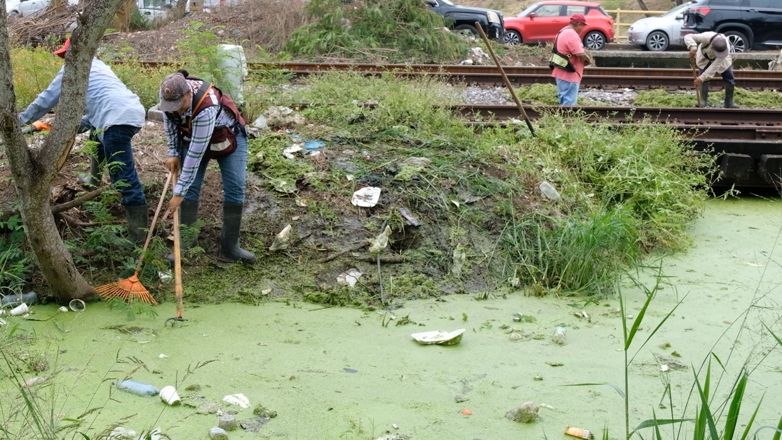 WhatsApp Image 2025-06-17 at 9.18.00 PM