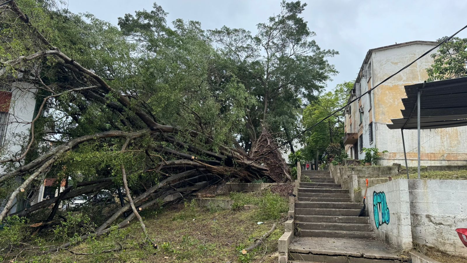 WhatsApp Image 2025-06-19 at 2.52.49 PM