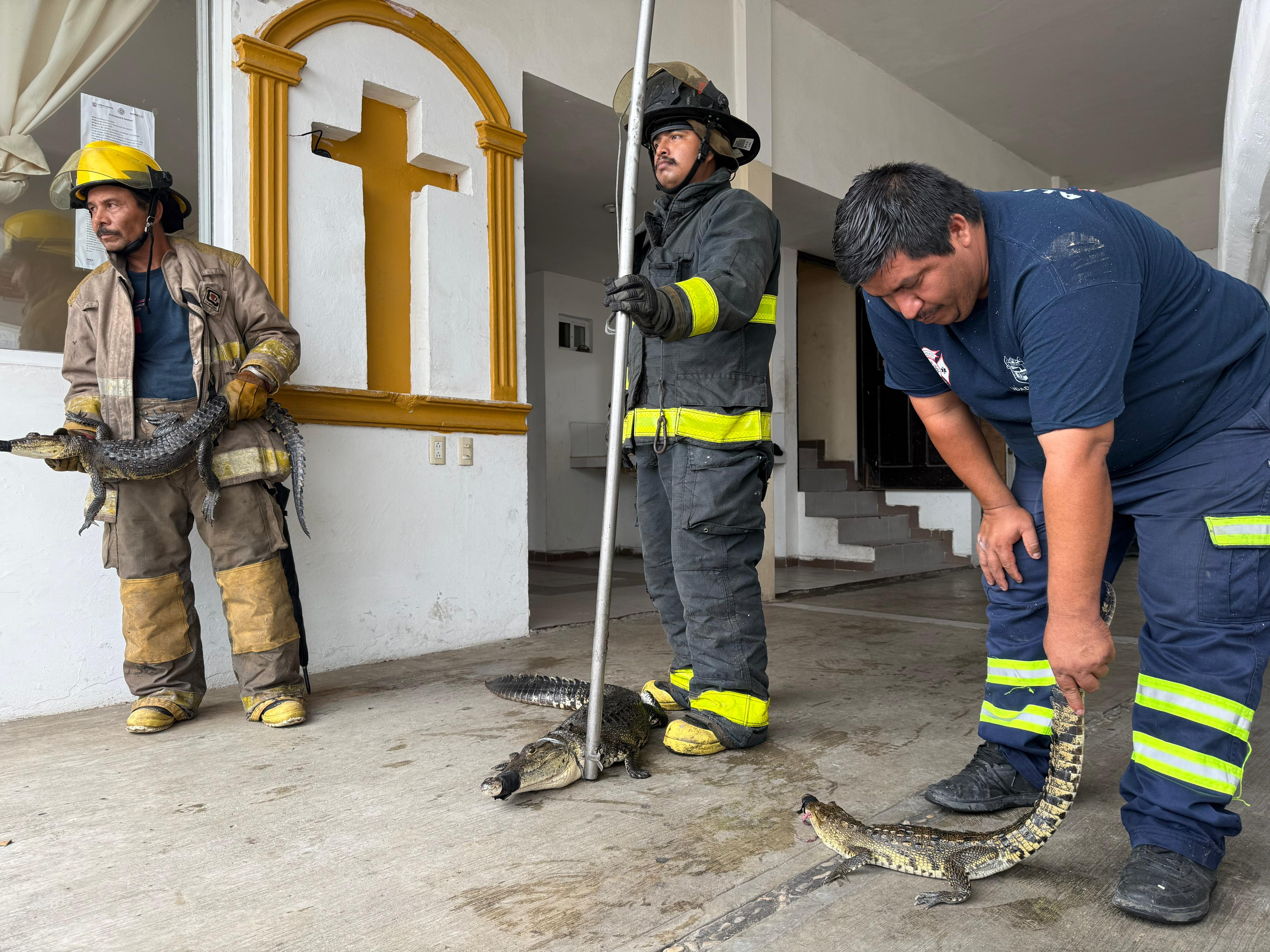 WhatsApp Image 2025-06-23 at 1.36.07 PM