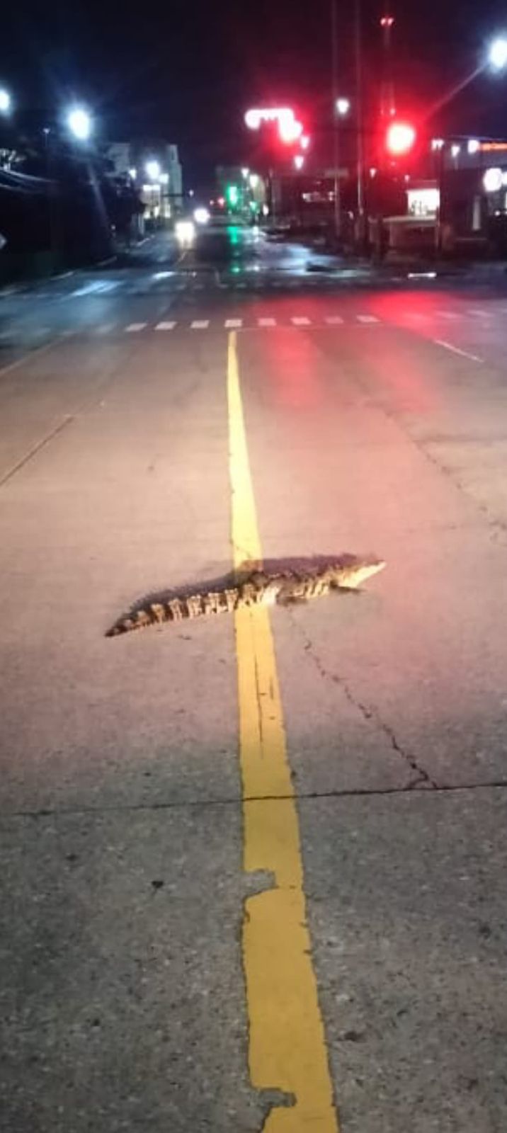 WhatsApp Image 2025-06-25 at 3.20.51 PM