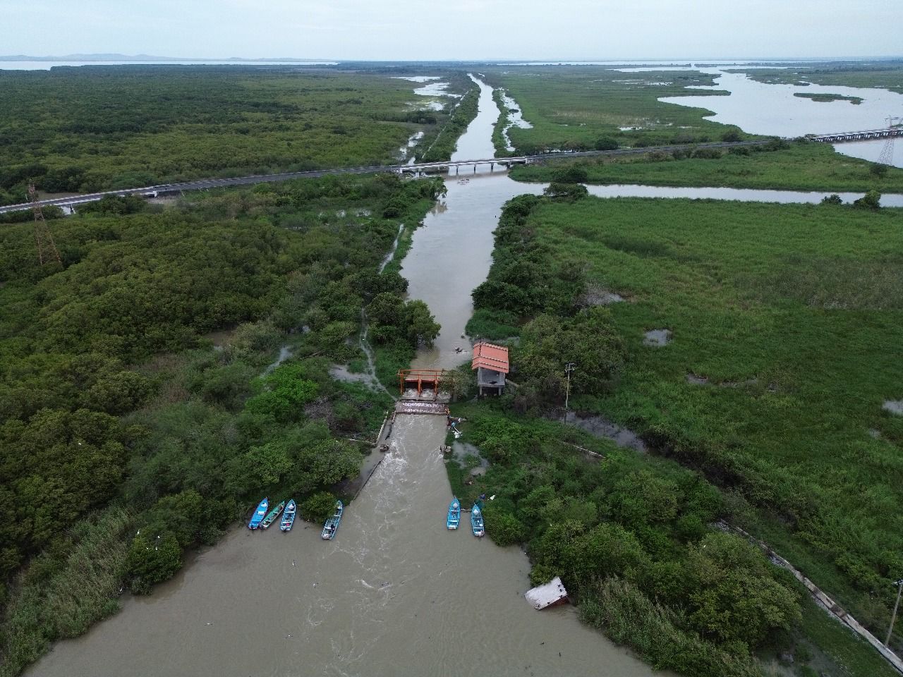 WhatsApp Image 2025-06-26 at 5.12.29 PM