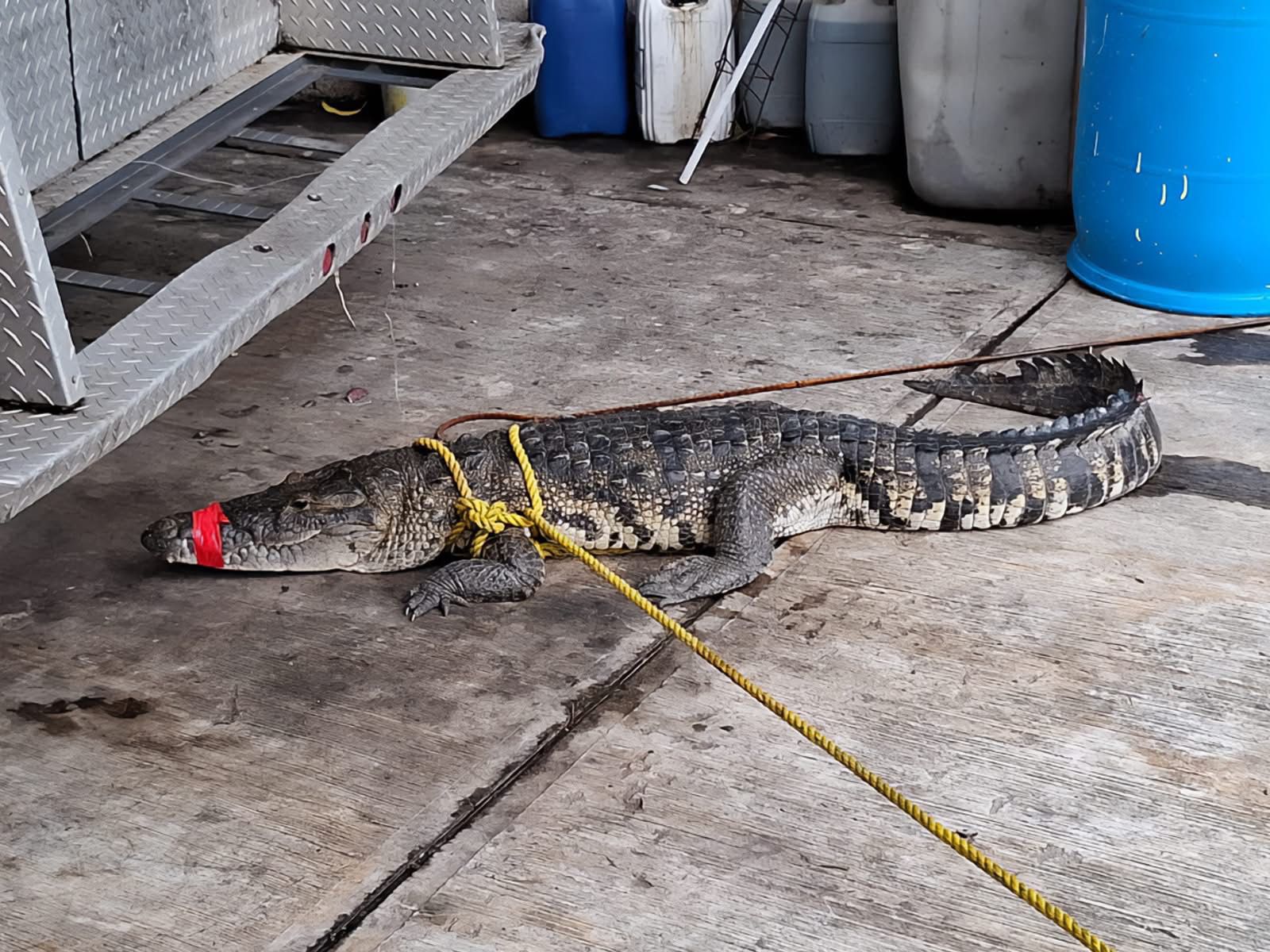 WhatsApp Image 2025-06-30 at 4.46.28 PM