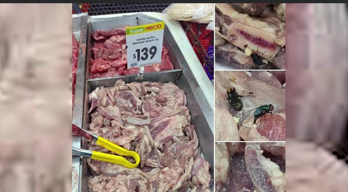 524054255_724656130489173_7872067884832624970_n