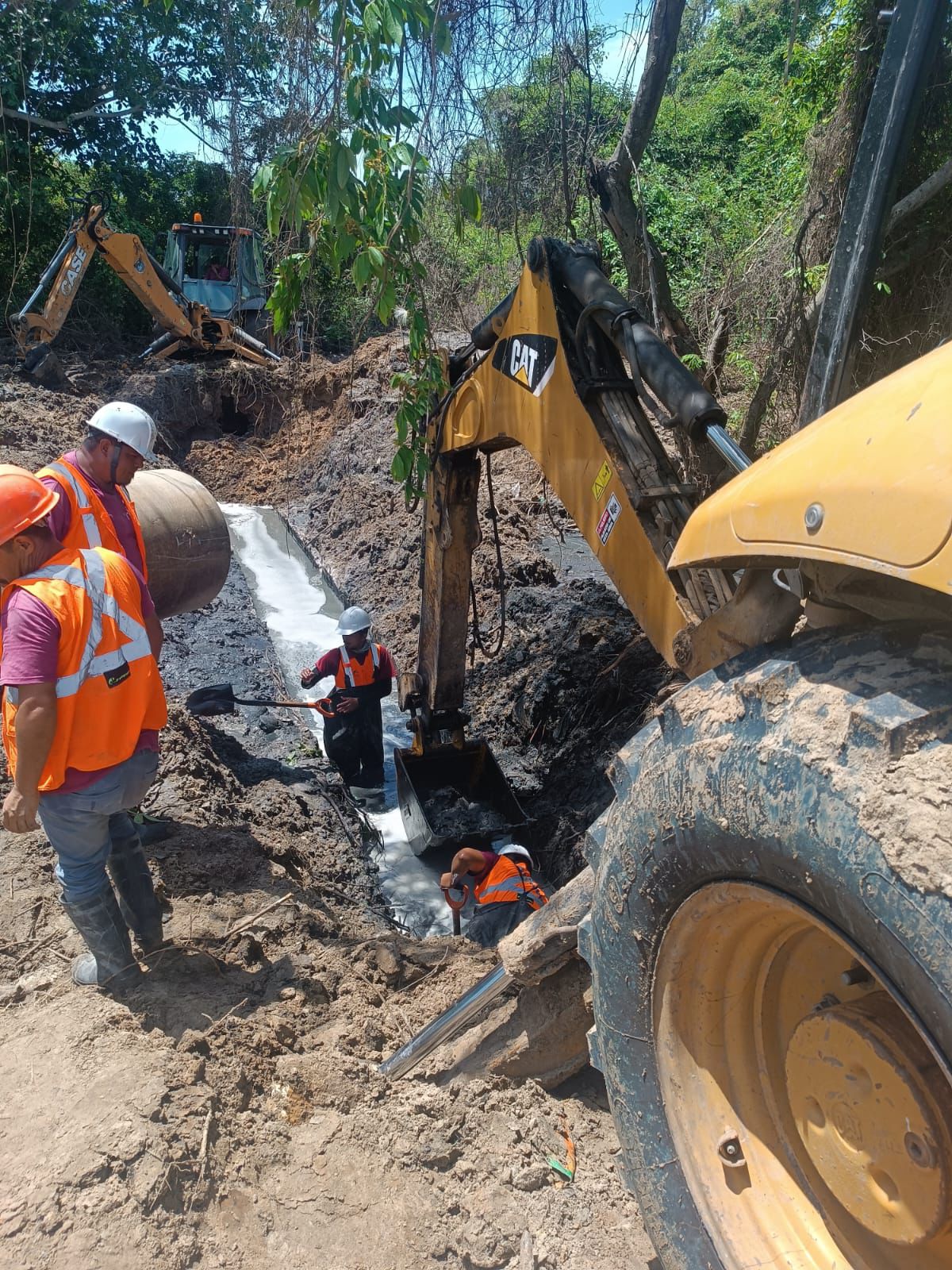 WhatsApp Image 2025-07-01 at 5.48.50 PM