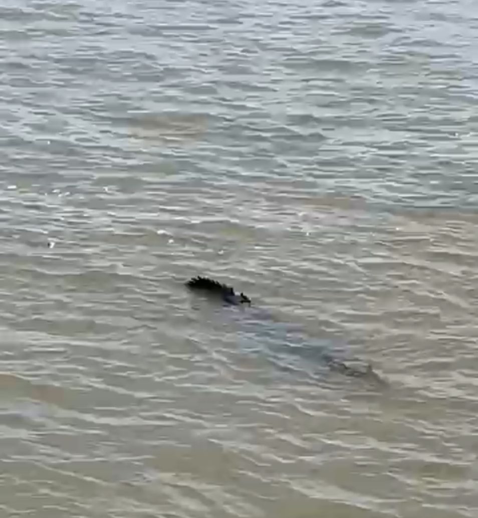 WhatsApp Image 2025-07-16 at 4.29.05 PM