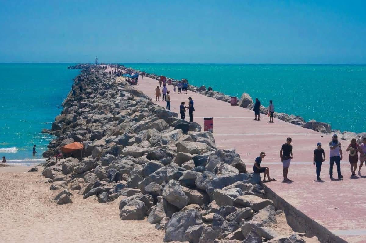 WhatsApp Image 2025-07-23 at 2.38.48 PM