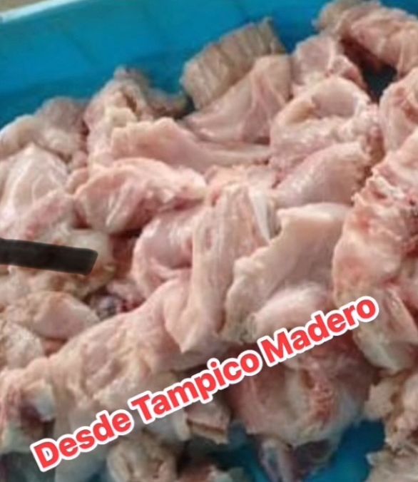 WhatsApp Image 2025-07-23 at 6.54.40 PM (1)