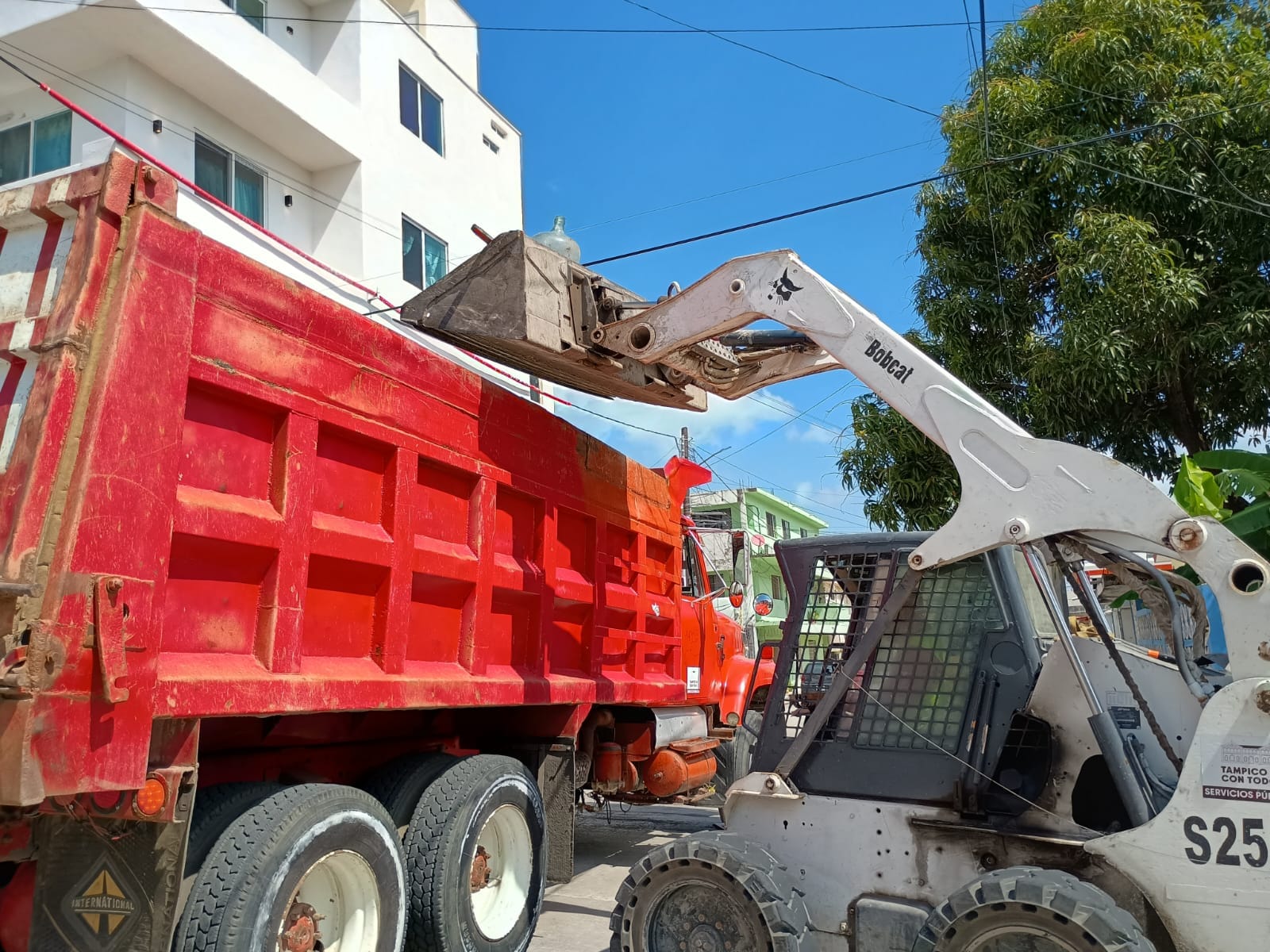 WhatsApp Image 2025-07-29 at 1.41.28 PM