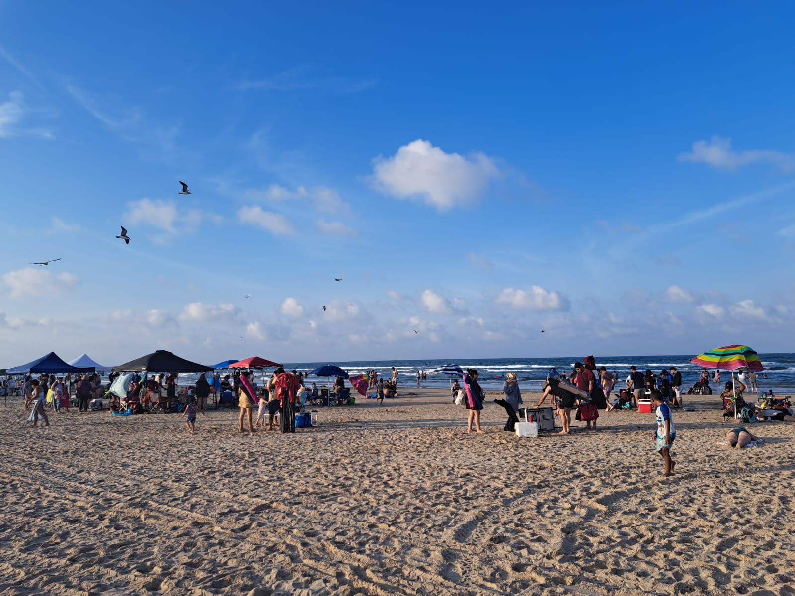 WhatsApp Image 2025-08-04 at 2.58.49 PM