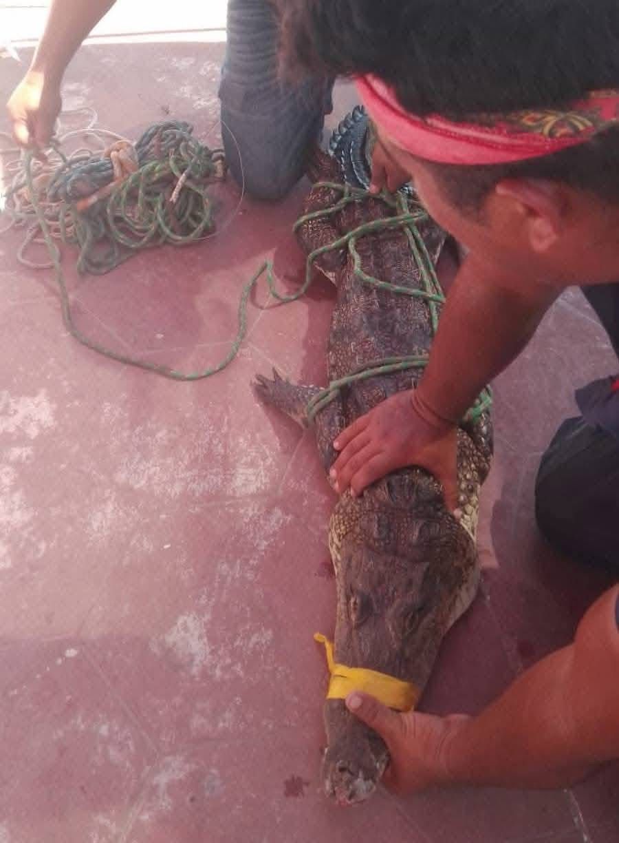 WhatsApp Image 2025-08-11 at 2.07.32 PM