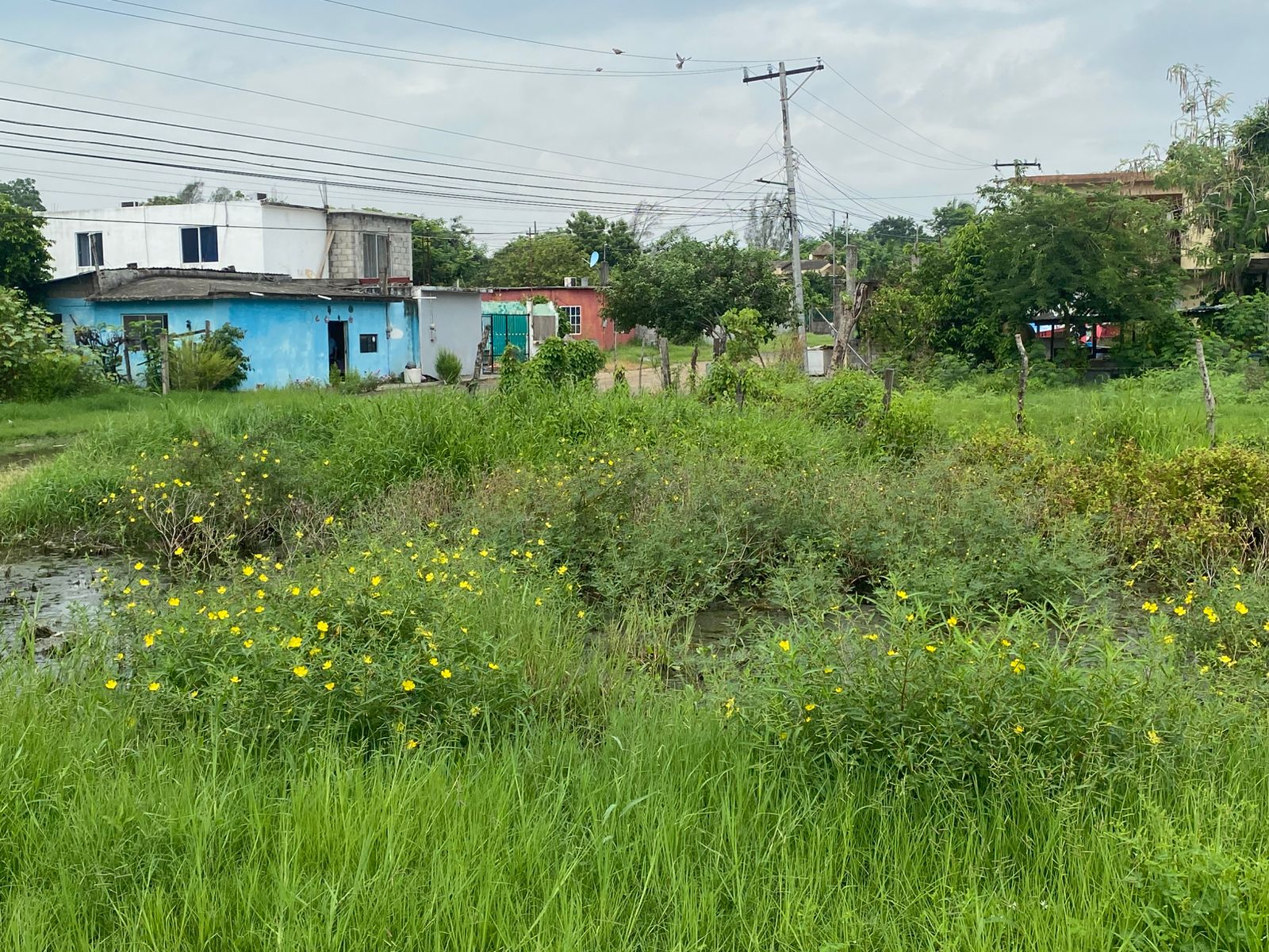 WhatsApp Image 2025-08-20 at 4.21.19 PM (1)