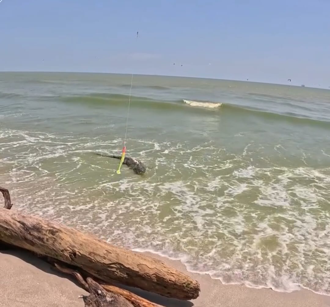 547413116_824992410099448_8834050428269113158_n