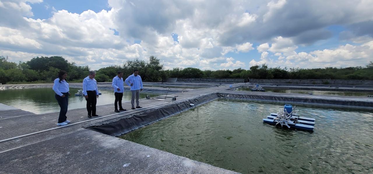 WhatsApp Image 2025-09-05 at 1.59.25 PM