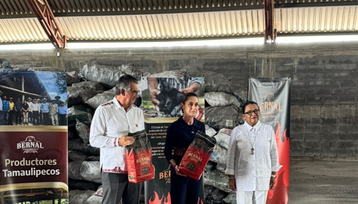 WhatsApp Image 2025-09-09 at 7.53.48 AM