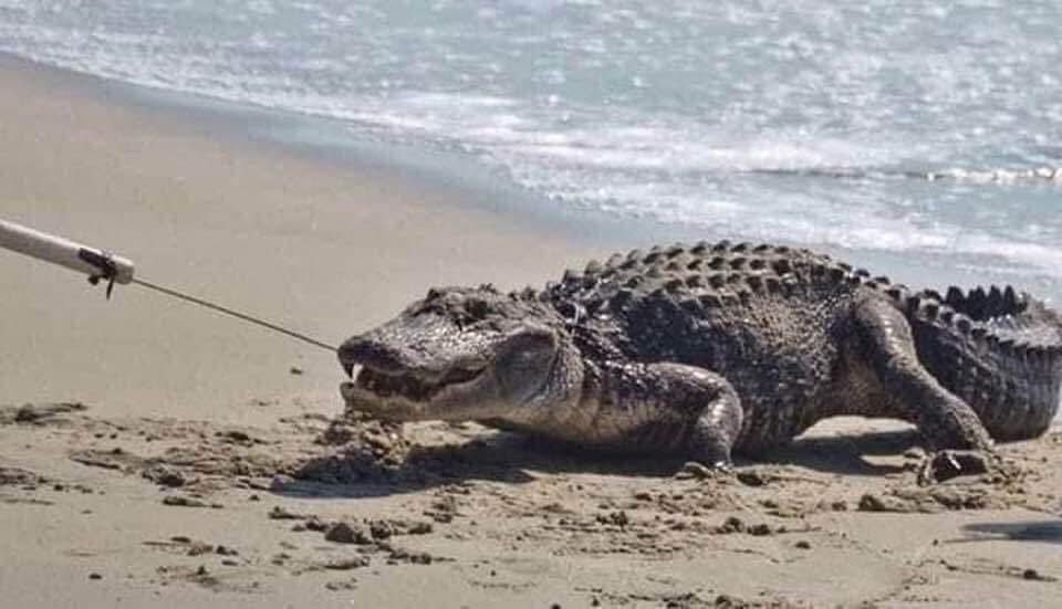 WhatsApp Image 2025-09-15 at 1.11.44 PM