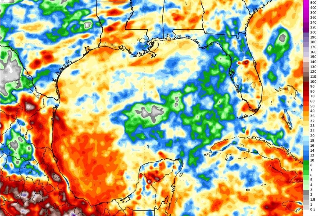 WhatsApp Image 2025-09-22 at 3.04.00 PM (1)