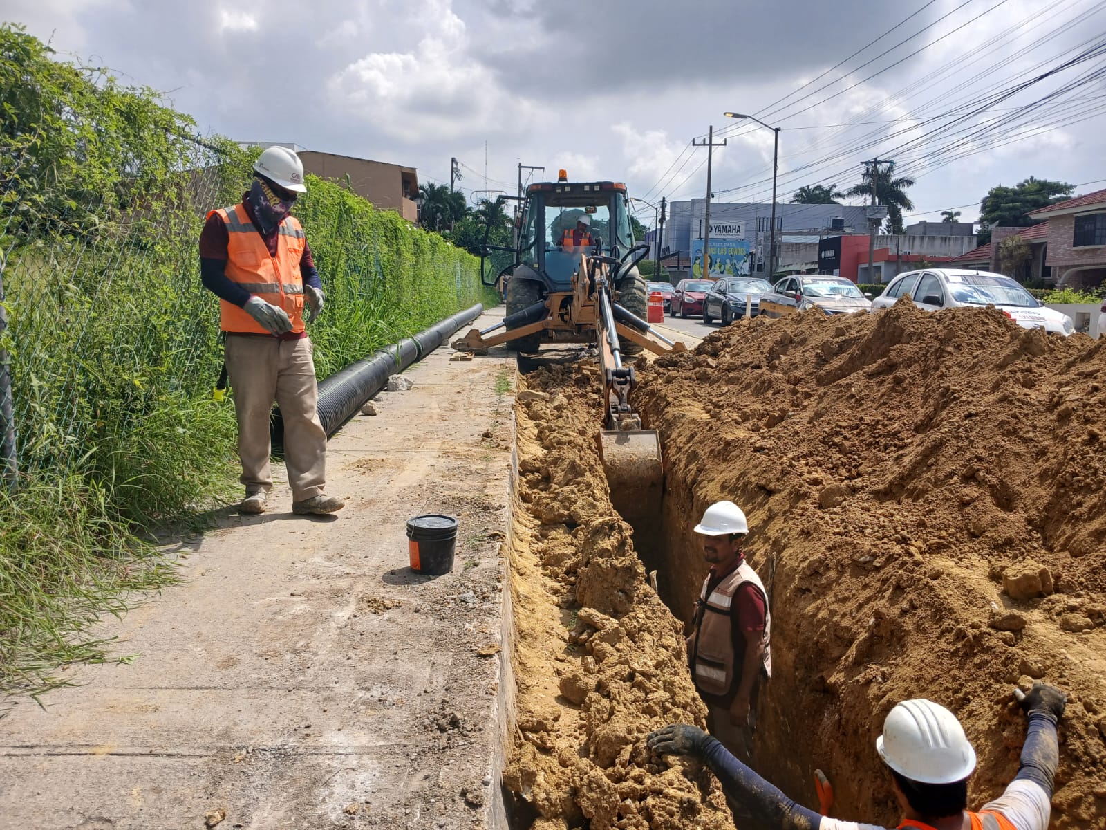 WhatsApp Image 2025-09-25 at 3.46.09 PM