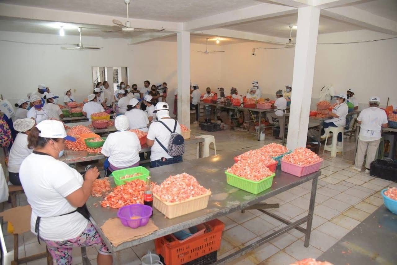 WhatsApp Image 2025-10-02 at 12.33.15 PM (1)