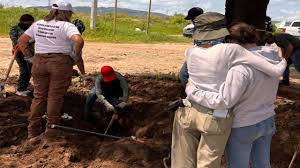 WhatsApp Image 2025-10-08 at 5.03.03 PM (1)