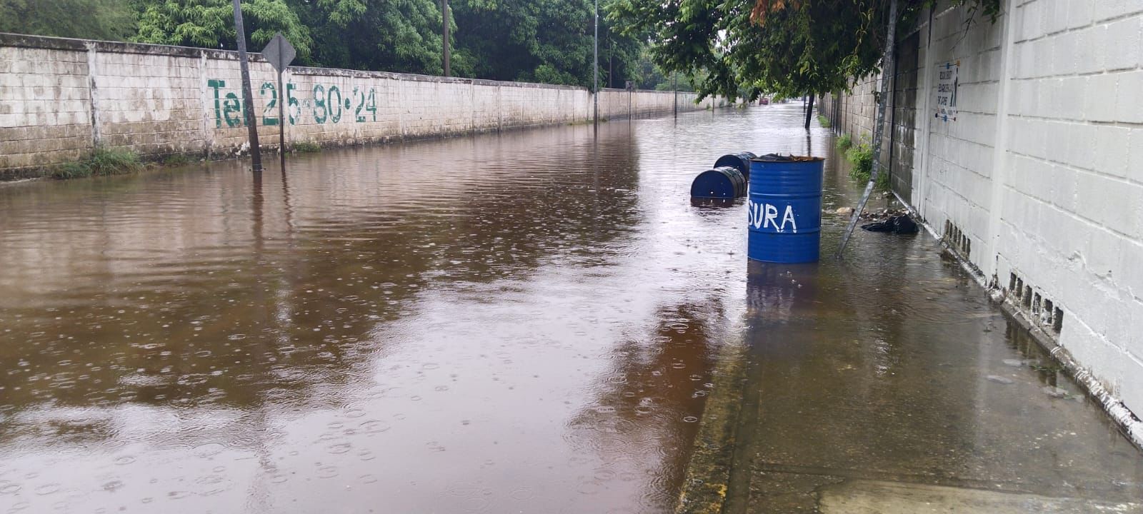 WhatsApp Image 2025-10-09 at 10.58.49 AM (2)