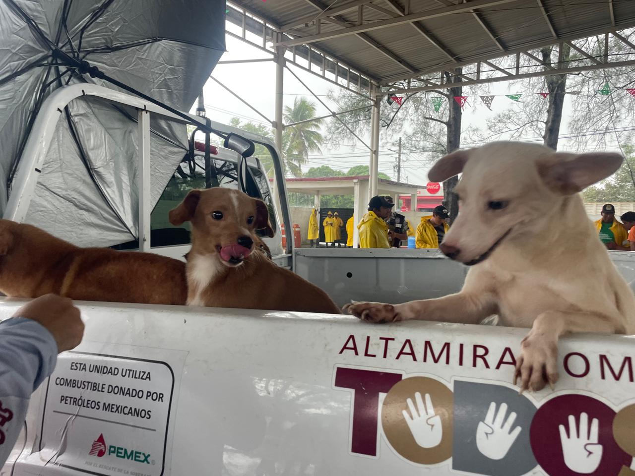 WhatsApp Image 2025-10-10 at 1.20.59 PM