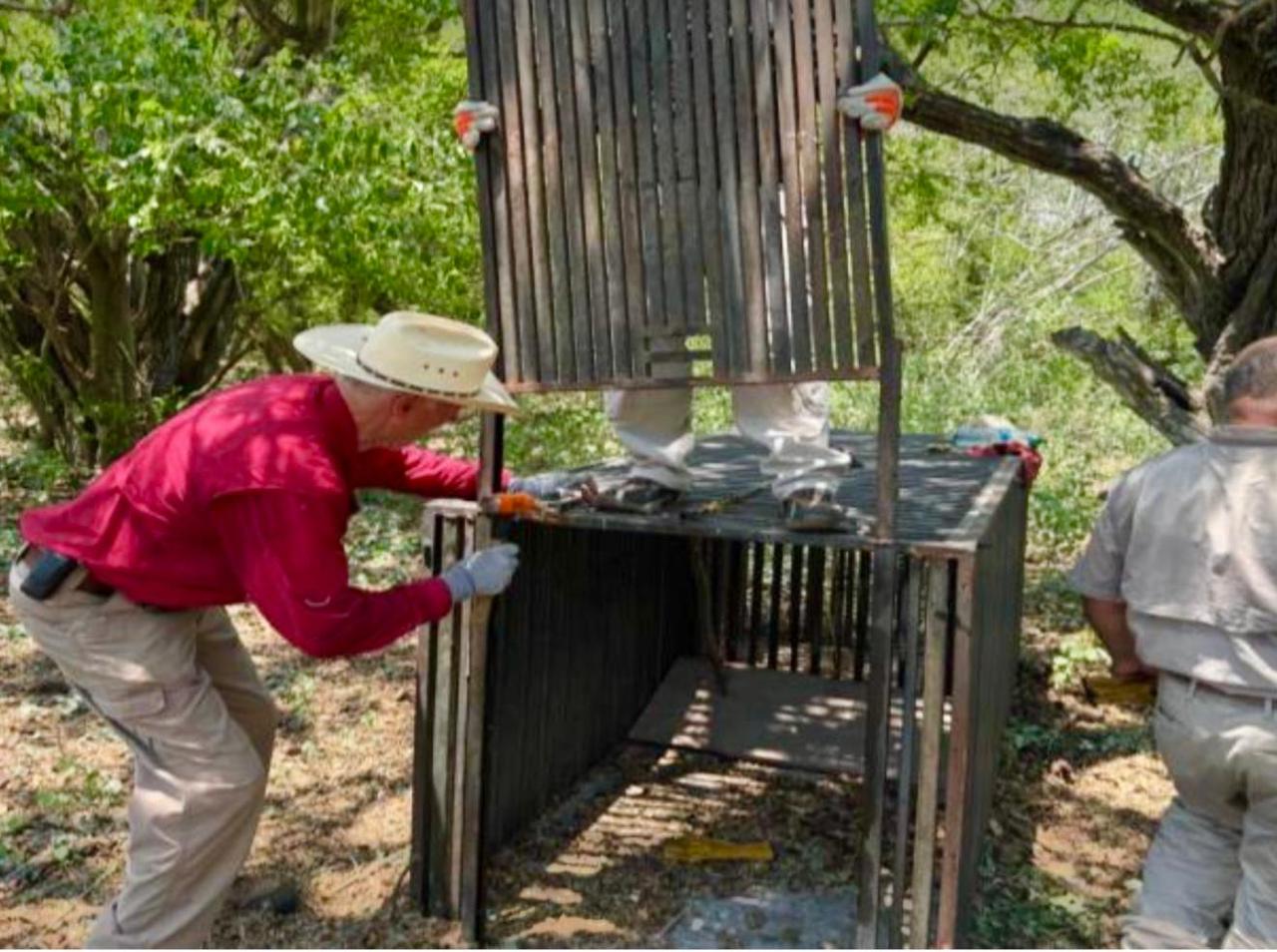 WhatsApp Image 2025-10-12 at 1.42.12 PM