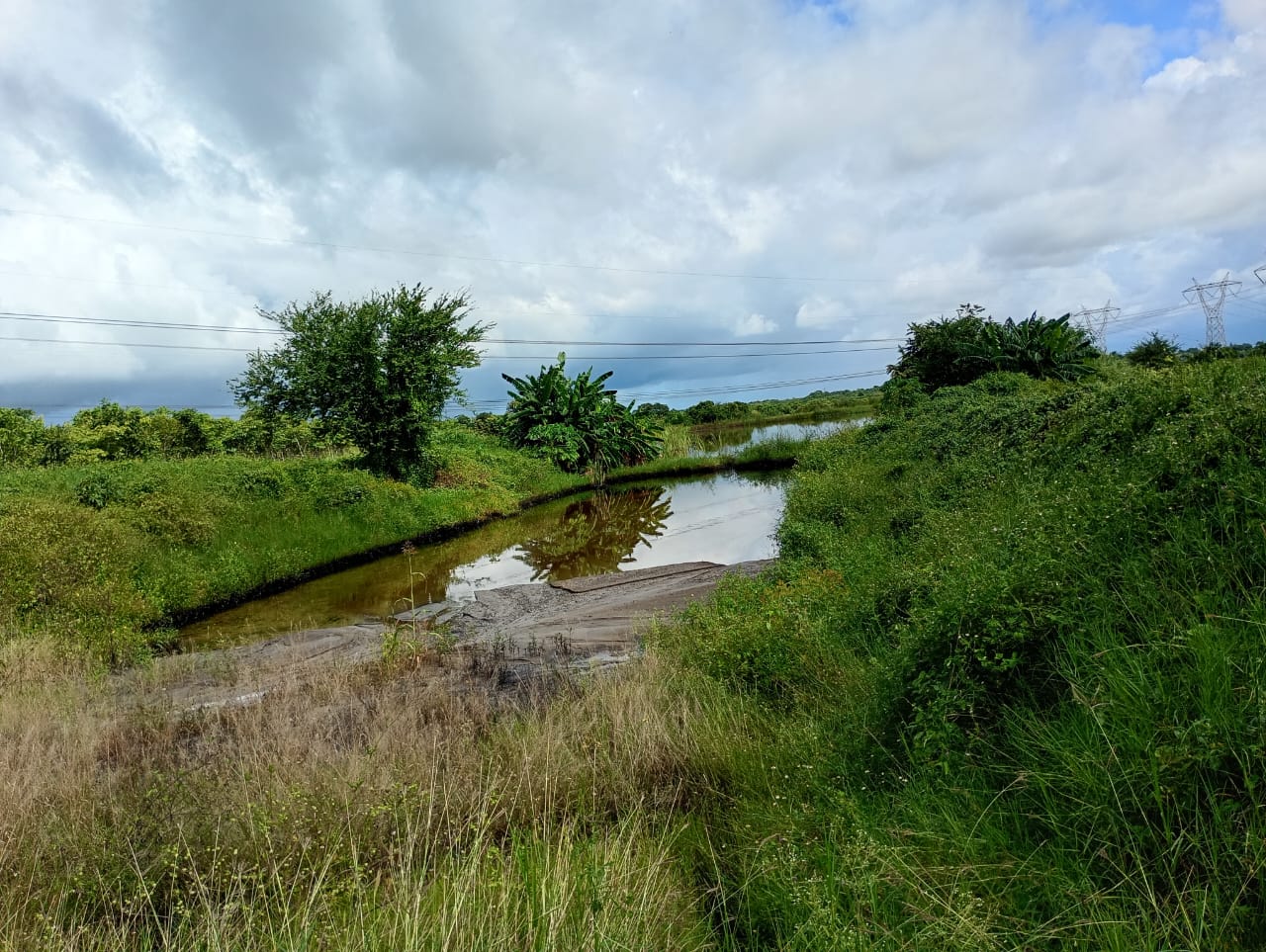 WhatsApp Image 2025-10-15 at 2.46.18 PM