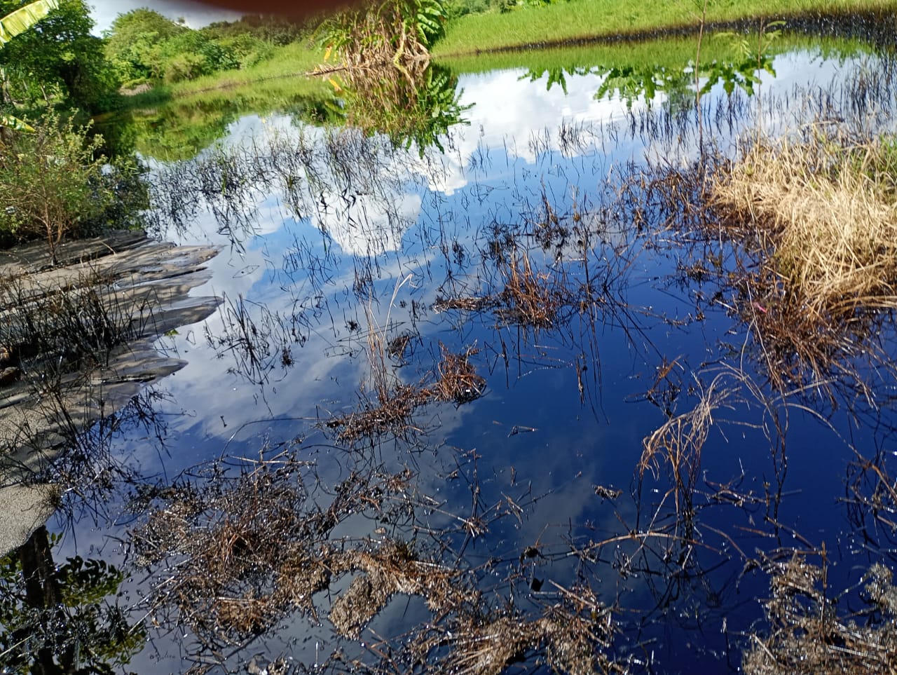 WhatsApp Image 2025-10-15 at 2.46.18 PM