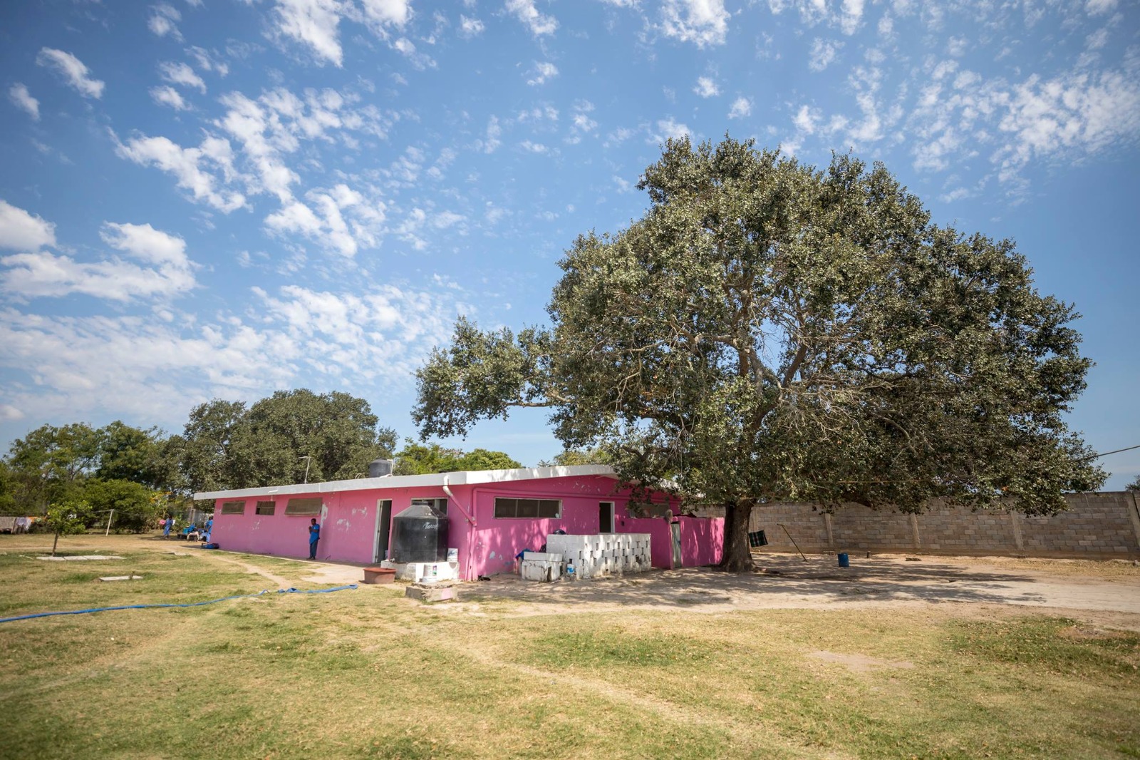 WhatsApp Image 2025-10-15 at 7.47.07 PM