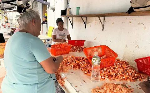 WhatsApp Image 2025-10-17 at 11.37.22 AM (3)