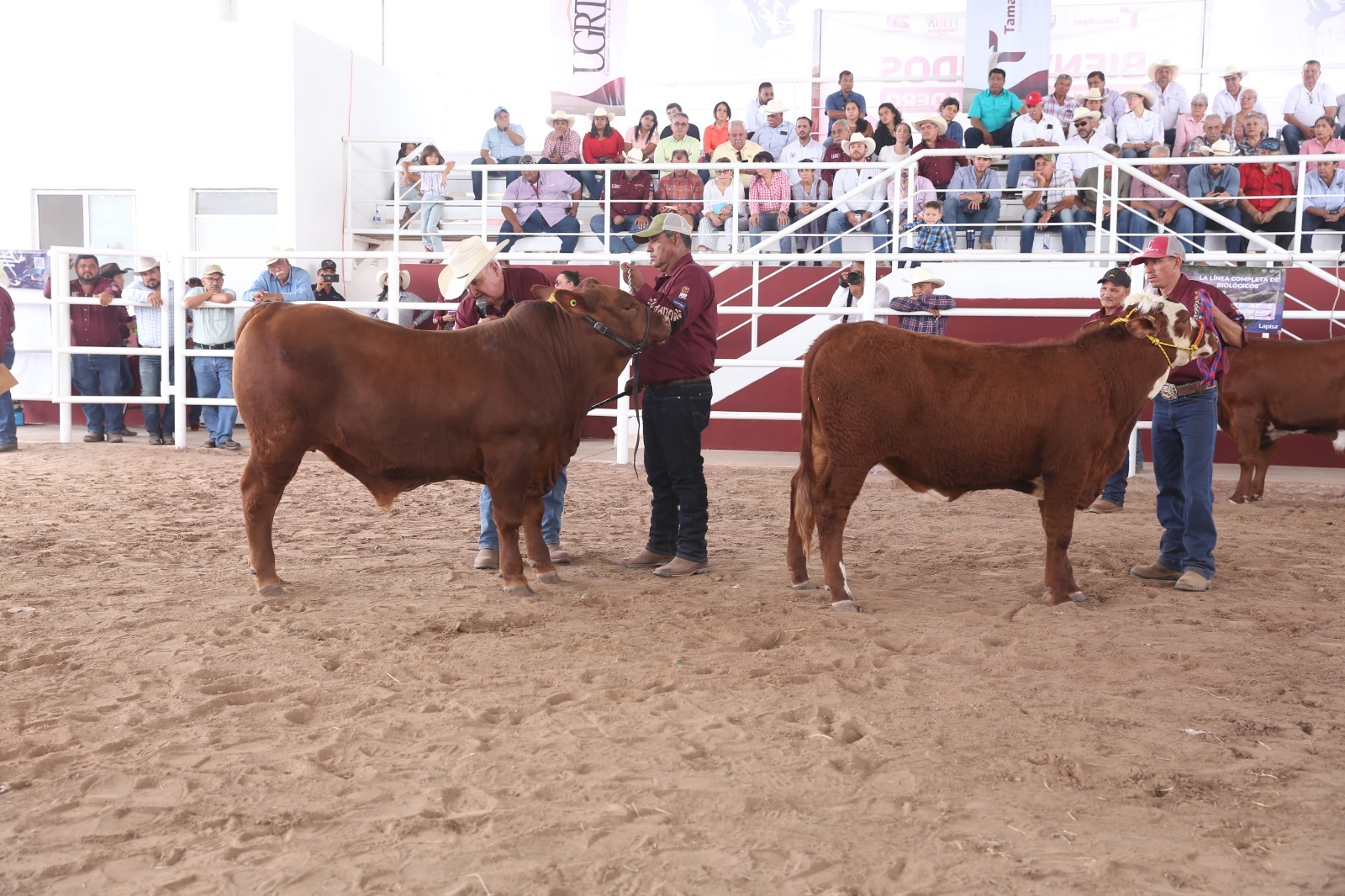 WhatsApp Image 2025-10-20 at 1.43.41 PM