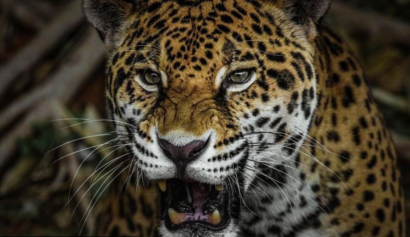 WhatsApp Image 2025-10-23 at 1.40.47 PM