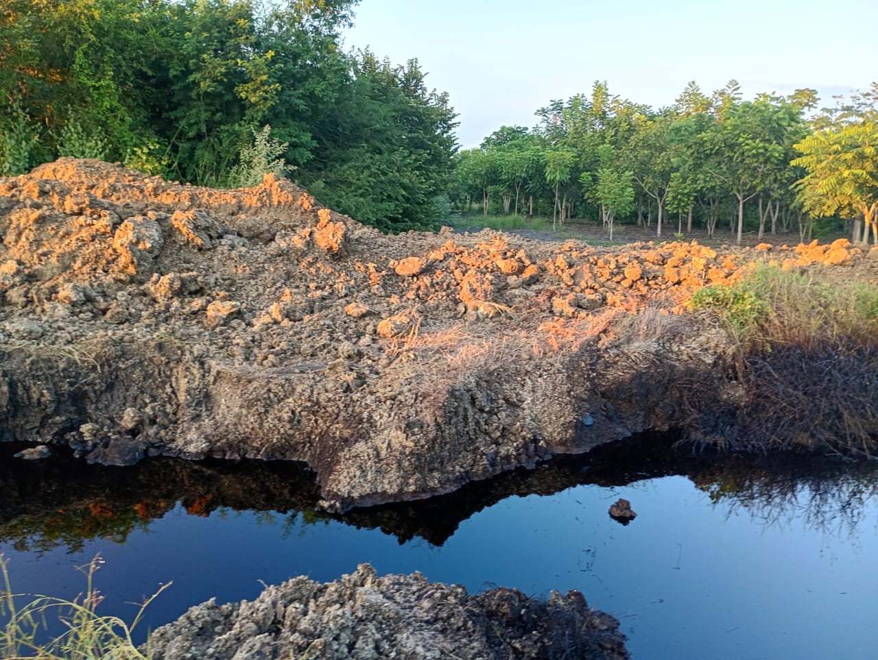 WhatsApp Image 2025-10-23 at 3.50.16 PM