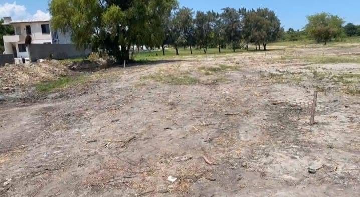 WhatsApp Image 2025-10-27 at 1.56.49 PM (1)