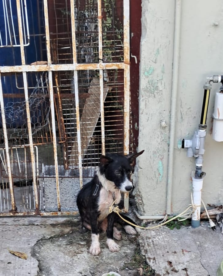 WhatsApp Image 2025-10-29 at 11.12.57 AM