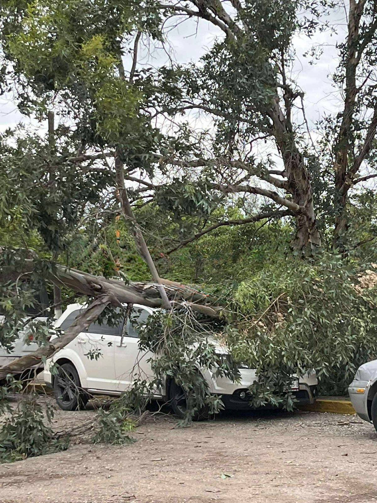 WhatsApp Image 2025-10-29 at 11.36.21 AM (2)