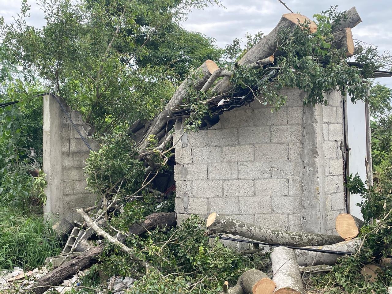 WhatsApp Image 2025-10-29 at 2.03.15 PM