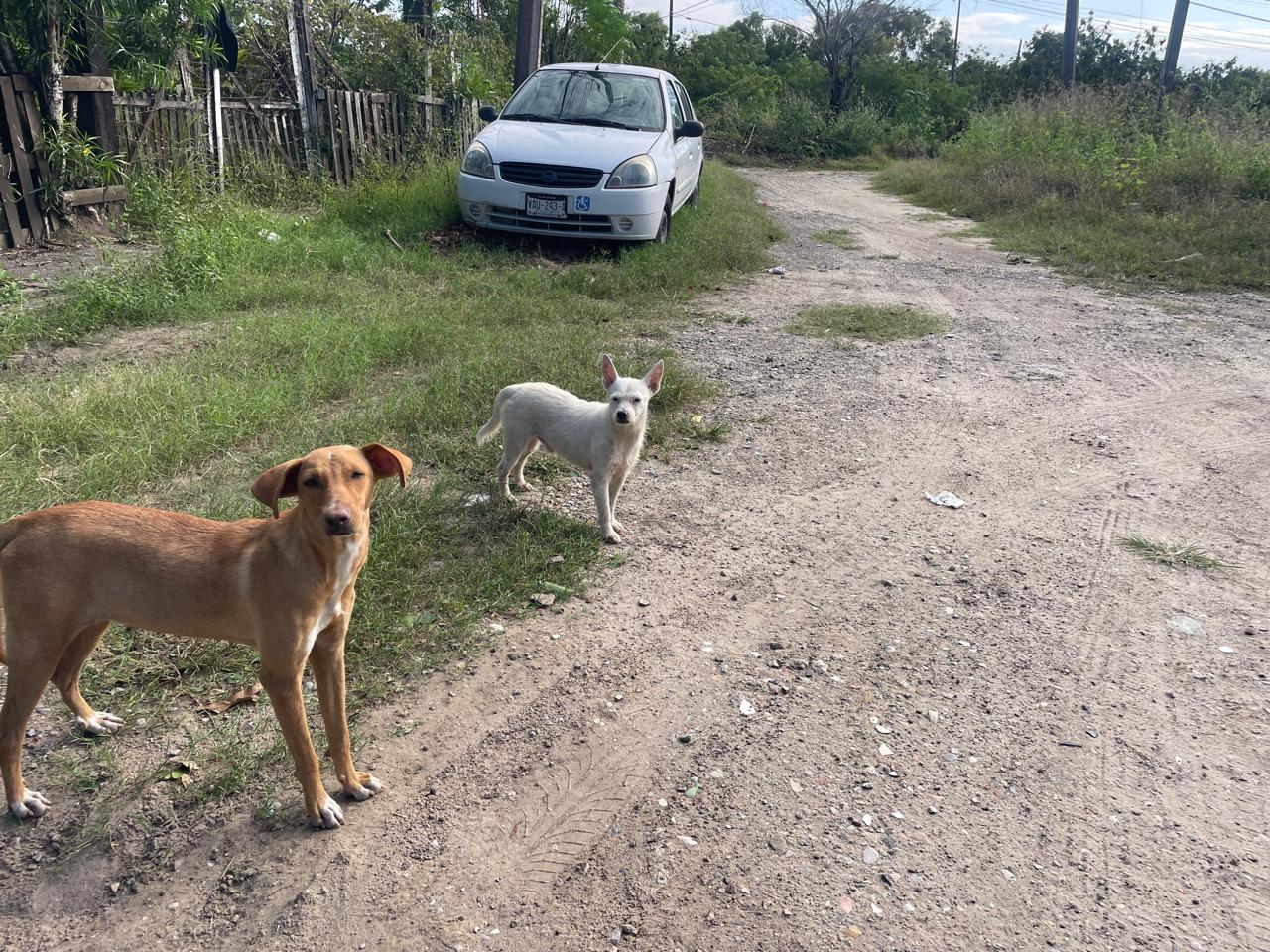 WhatsApp Image 2025-10-29 at 5.45.46 PM