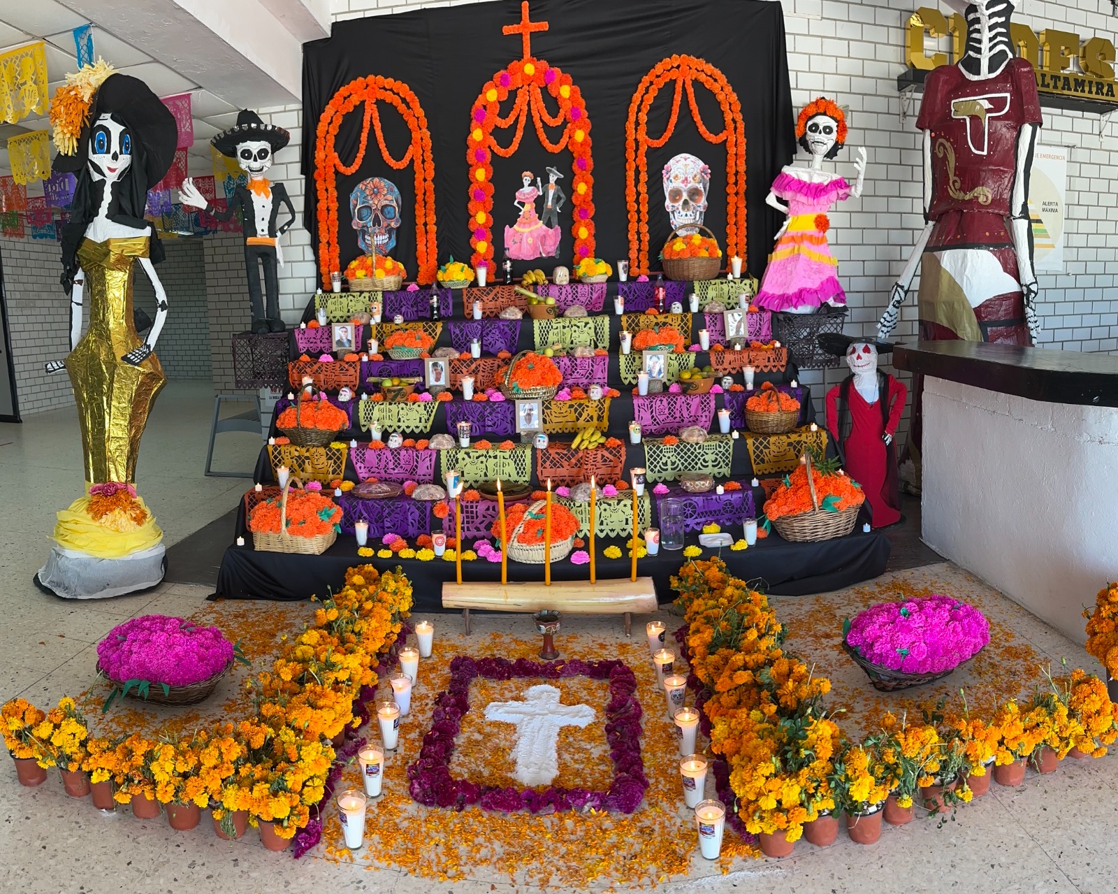 WhatsApp Image 2025-11-02 at 12.00.04 PM (3)