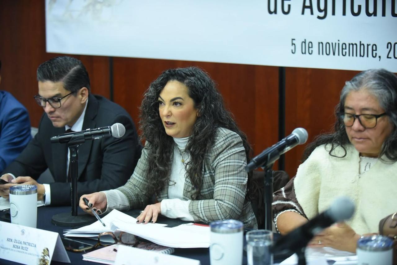 WhatsApp Image 2025-11-05 at 4.13.02 PM