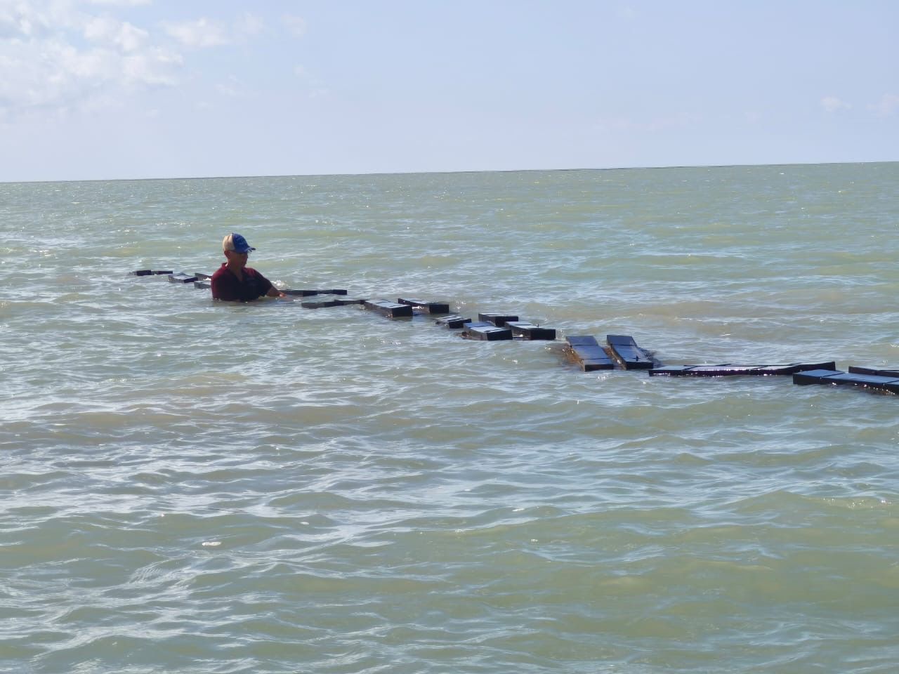 WhatsApp Image 2025-11-06 at 12.37.06 PM