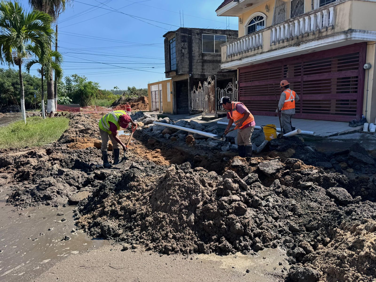 WhatsApp Image 2025-11-08 at 4.55.20 PM (2)